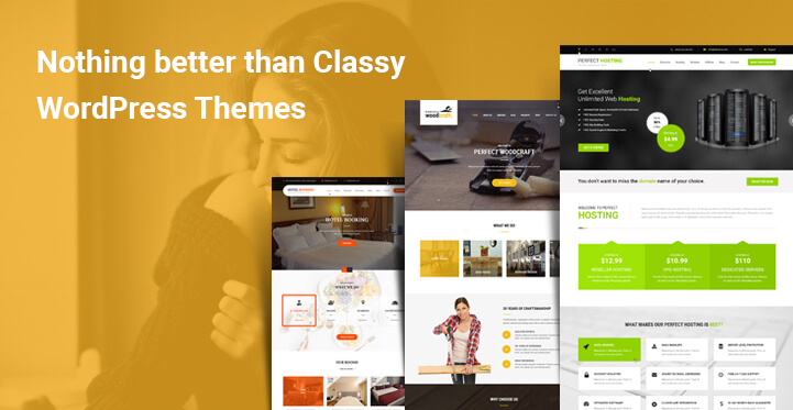 Nothing Better Than Classy WordPress Themes to Get Your Website the Attention it Deserves