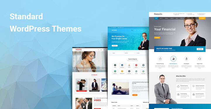 Standard WordPress themes