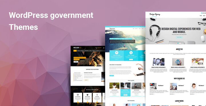The WordPress Government themes