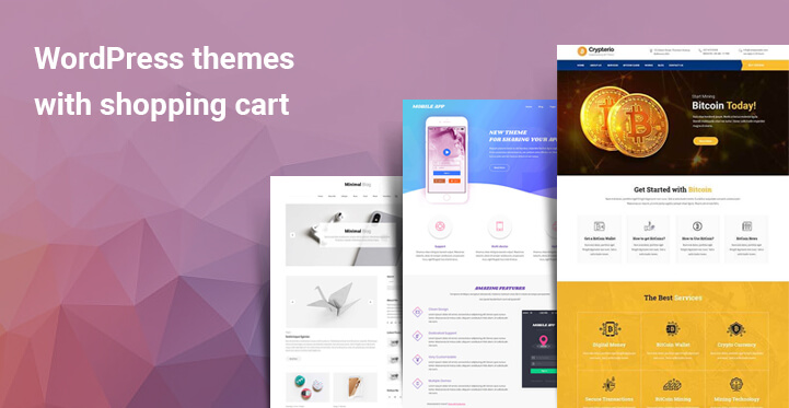WordPress themes with shopping cart