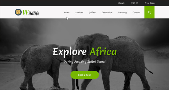 Zoo WordPress theme