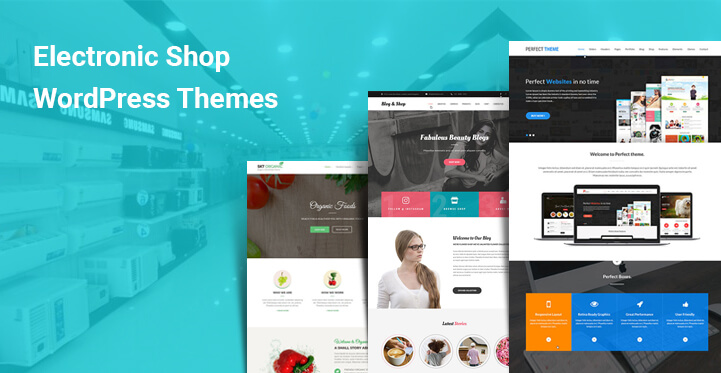 Electronic shop WordPress themes