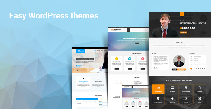 Easy WordPress Themes Make it Easier to Customize the Website Sans Any Coding