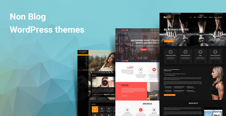 Non blog WordPress themes