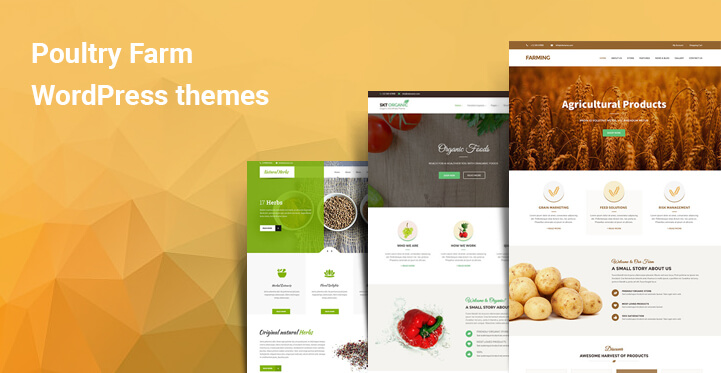 Poultry farm WordPress themes