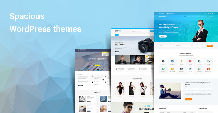 6 Spacious WordPress Themes Come With Responsive Designs