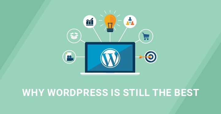 Choose WordPress To Build Your Website