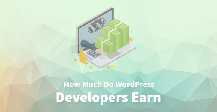 How Much Do WordPress Developers Earn