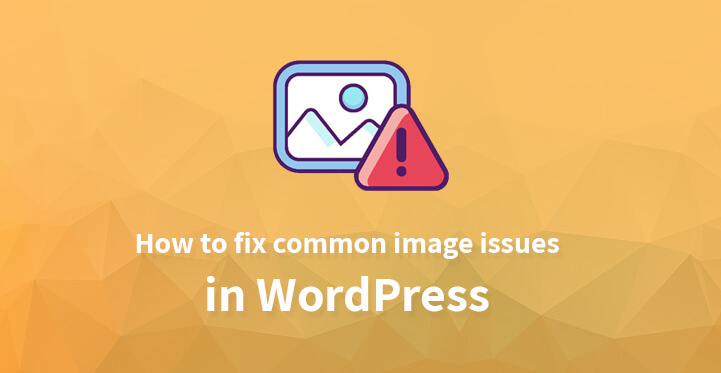 common image issues in WordPress