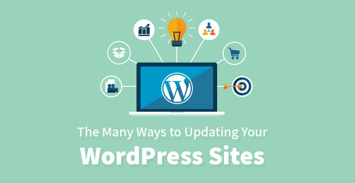 The Many Ways to Updating Your WordPress Sites