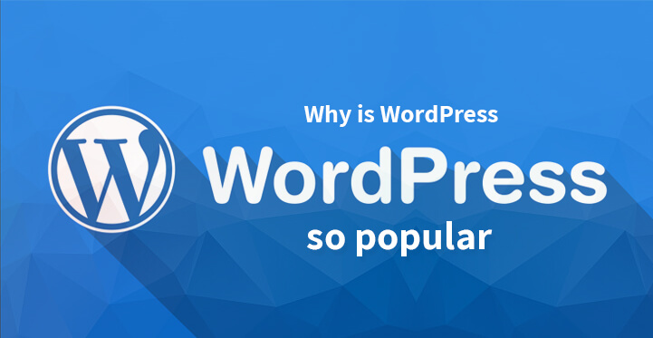 Important Reason Why is WordPress So Most Popular CMS Ever