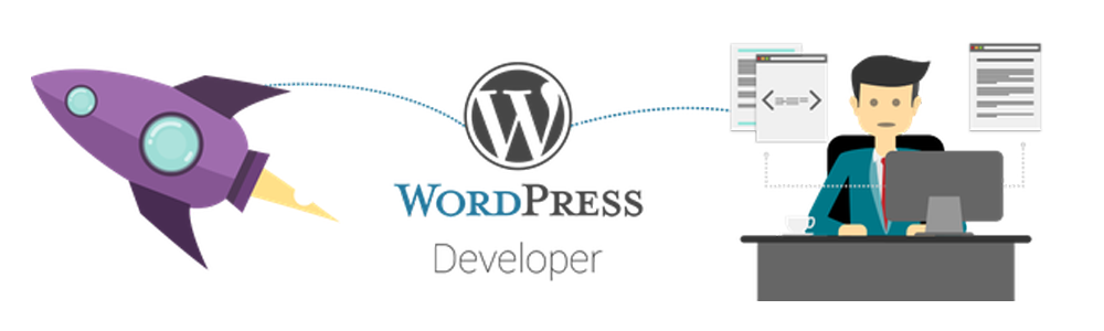 WordPress developer