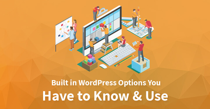 Built in WordPress Options You Have to Know Use