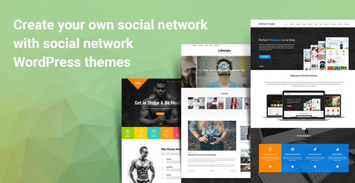 Social network WordPress themes
