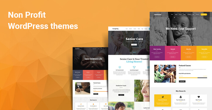 13 Non Profit WordPress Themes for NGO Fundraising Charities