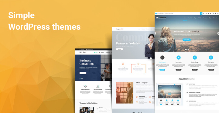 16 Simple WordPress Themes for Simplified Presentation to Users Website