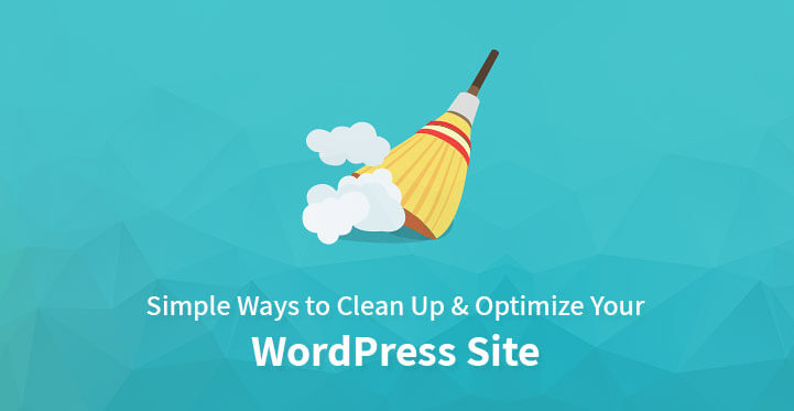 clean up your WordPress website