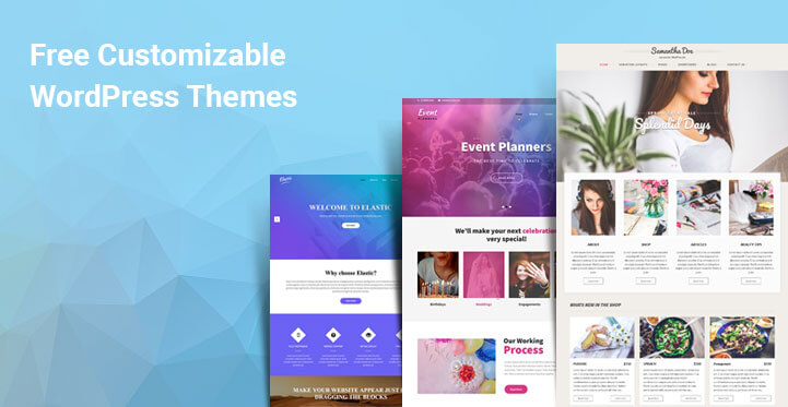 free customizable WordPress themes