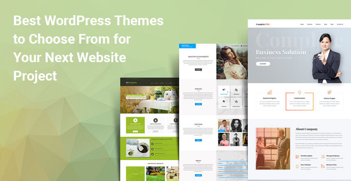 Best WordPress Themes for Projects to Choose From for Your Next Website