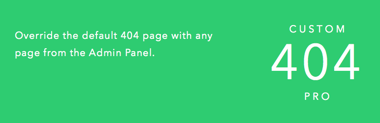 custom 404 pro