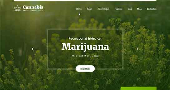 marijuana WordPress theme