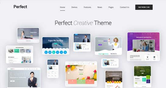 Multiconcept WordPress Theme for Multi-Concept Usage for Any Industry