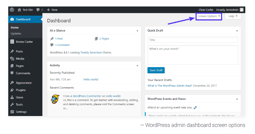 WordPress Admin Section