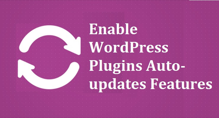 Enable WordPress Plugins Auto-updates Features