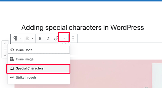 Insert Special Characters plugin