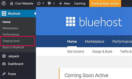 Staging Site Bluehost