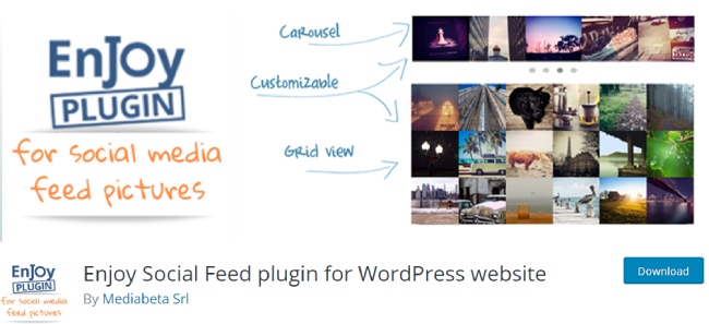 Enjoy Social Feed plugin for WordPress website