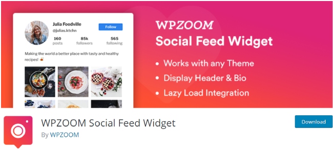 wpzoom social feed widget