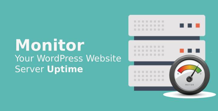 Step to Monitor Your WordPress Website Server Uptime