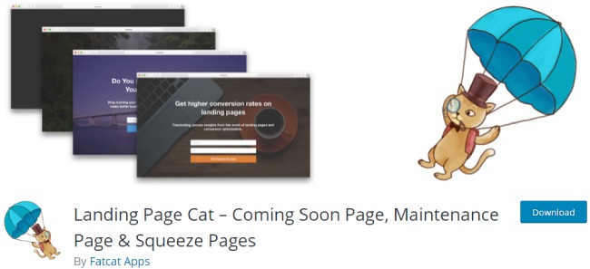 landing page cat