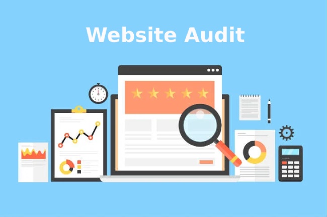 website audit