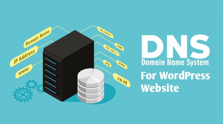 DNS for WordPress site