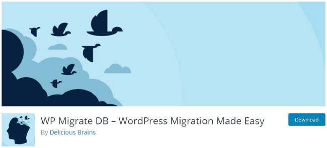 WP Migrate DB