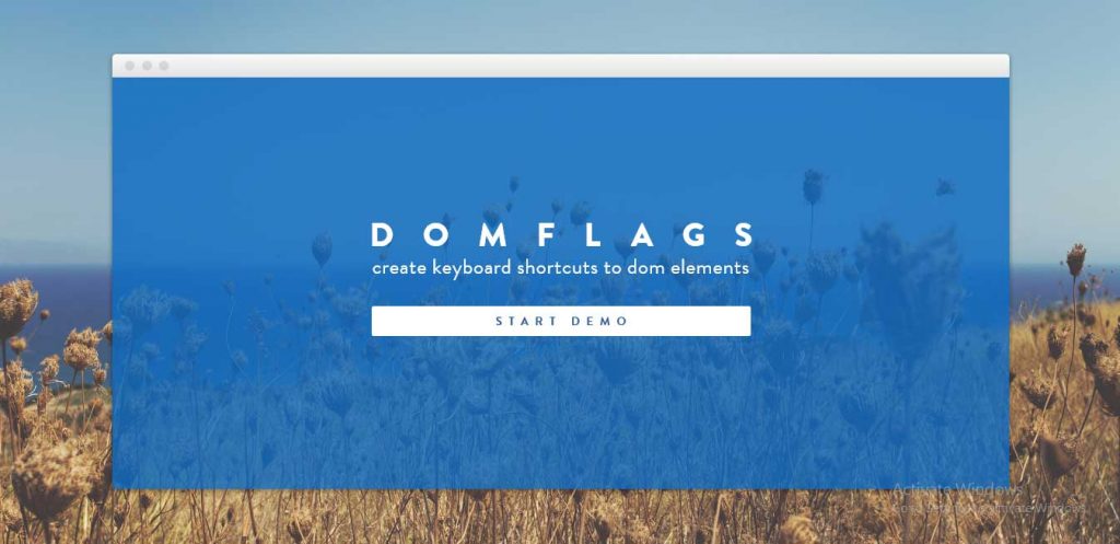 DomFlags