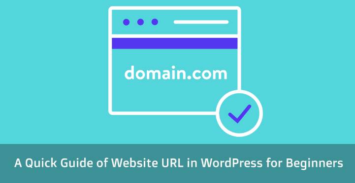 website URL in WordPress