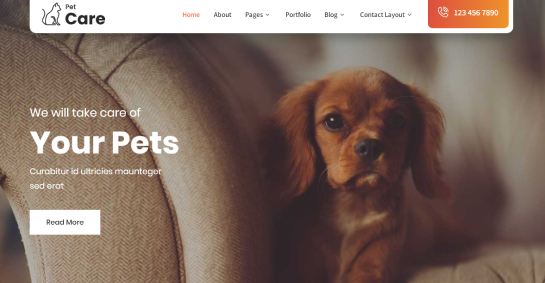 10+ Dog Training WordPress Themes for Canine Training Websites