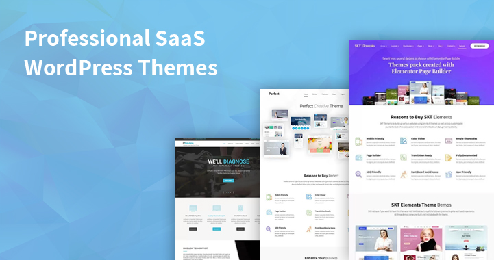 Effortless High Quality and Professional SaaS WordPress Themes