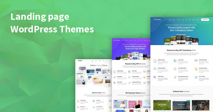 WordPress Landing Pages Themes