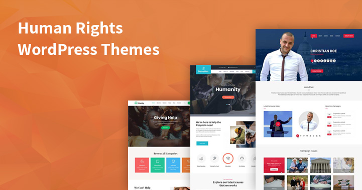 Best Human Rights WordPress Themes for Social Activist and Law Firm