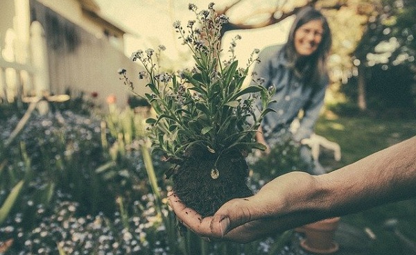 Landscapers