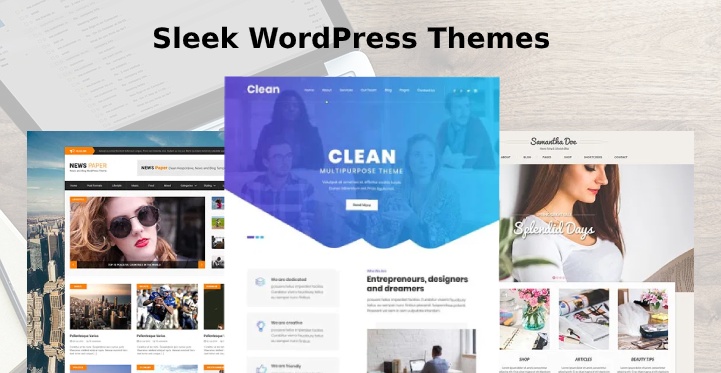 Sleek WordPress Themes
