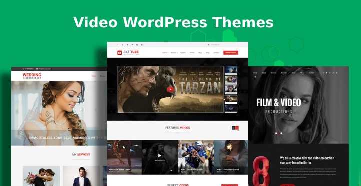14 Best Well-Constructed Video WordPress Themes for Various Fields!
