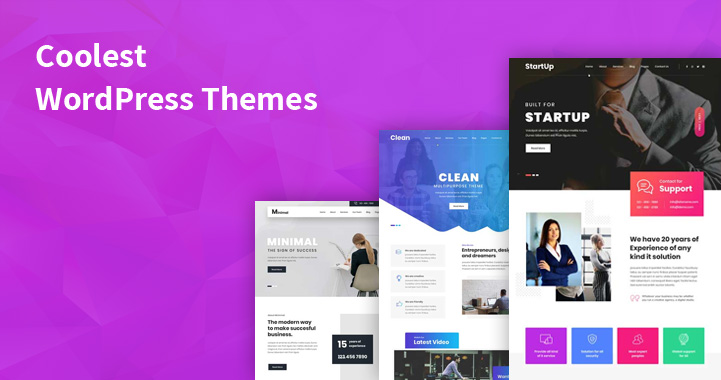 coolest WordPress themes