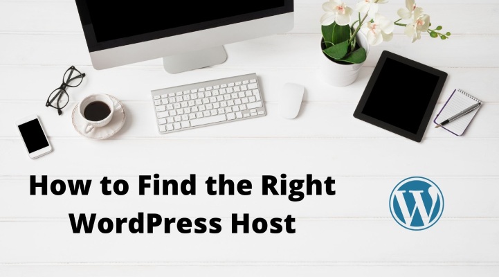 How to Find the Right Hosting for Your WP Website?