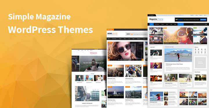 14 Simple Magazine WordPress Themes for New & Fashion Blogging