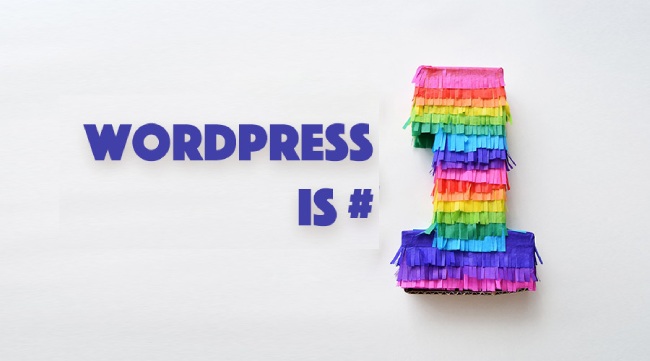 WordPress is best